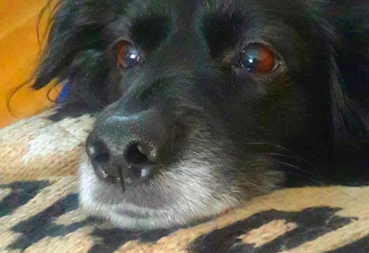 FB IMG 1558429922444 01 01