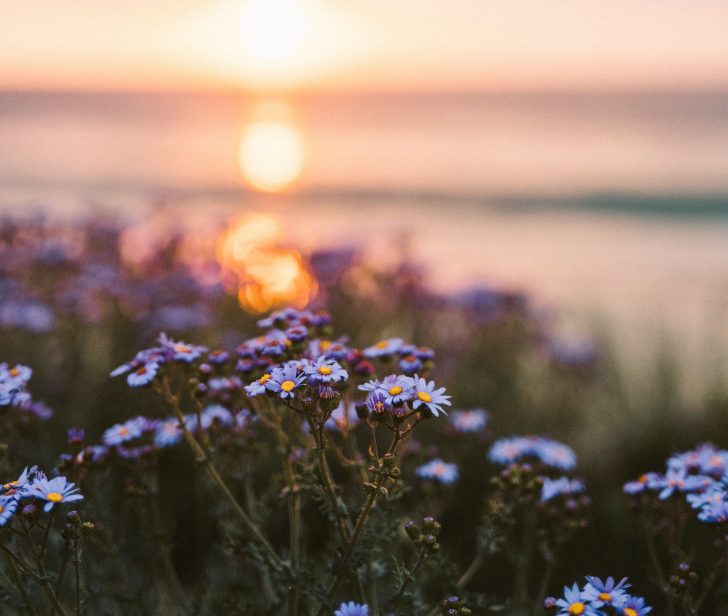 Pexels Taryn Elliott