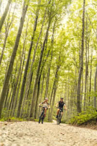 Mountainbiken im Wiener Wald © Wienerwald Tourismus
