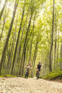 Mountainbiken im Wiener Wald © Wienerwald Tourismus Mountainbiken im Wiener Wald © Wienerwald Tourismus